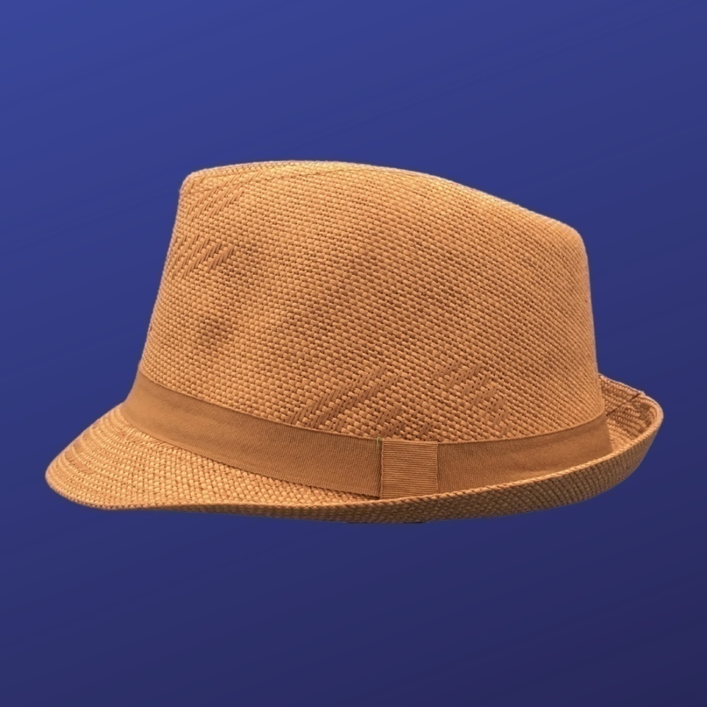 Target Women’s FEDORA 100% Straw Hat, NATURAL/TAN/NATURAL, Size L/XL, NWOT